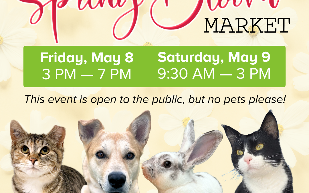 AARCS Spring Market 🌼